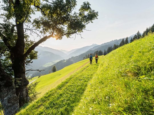 Wanderhotels Kärnten: Aktivzeit im Wanderniki Wanderhotels Kärnten: Aktivzeit im Wanderniki