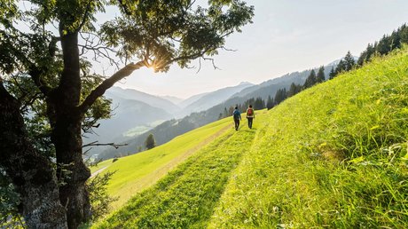 Bildergalerie Wanderniki – Alpenhotels in Kärnten Bildergalerie Wanderniki – Alpenhotels in Kärnten