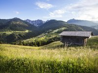 Hotels in Österreich: Wandern in all seinen Formen Hotels in Österreich: Wandern in all seinen Formen