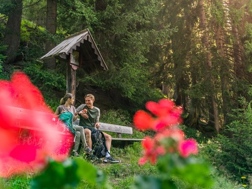 Healing landscape Healing landscape