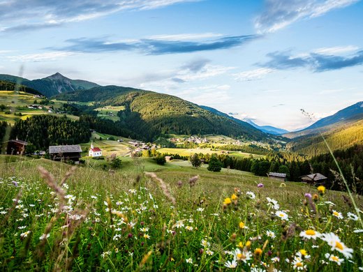 Healing landscape Healing landscape