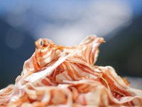 Unterkünfte im Lesachtal: nachhaltig und regional Unterkünfte im Lesachtal: nachhaltig und regional