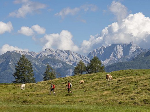 Frühling im Lesachtal Frühling im Lesachtal