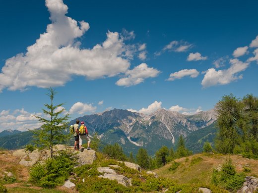 Healing landscape Healing landscape