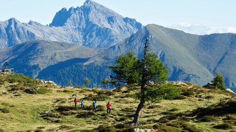 Bildergalerie Wanderniki – Alpenhotels in Kärnten Bildergalerie Wanderniki – Alpenhotels in Kärnten