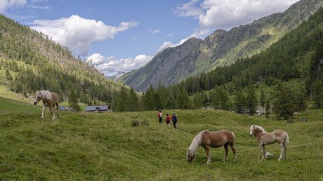 Bildergalerie Wanderniki – Alpenhotels in Kärnten Bildergalerie Wanderniki – Alpenhotels in Kärnten