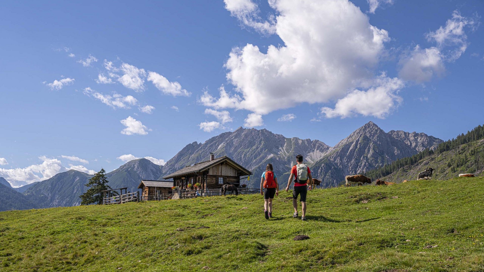 Hotels in Austria: hiking in all its forms