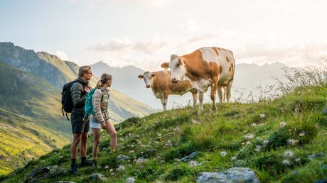 Bildergalerie Wanderniki – Alpenhotels in Kärnten Bildergalerie Wanderniki – Alpenhotels in Kärnten