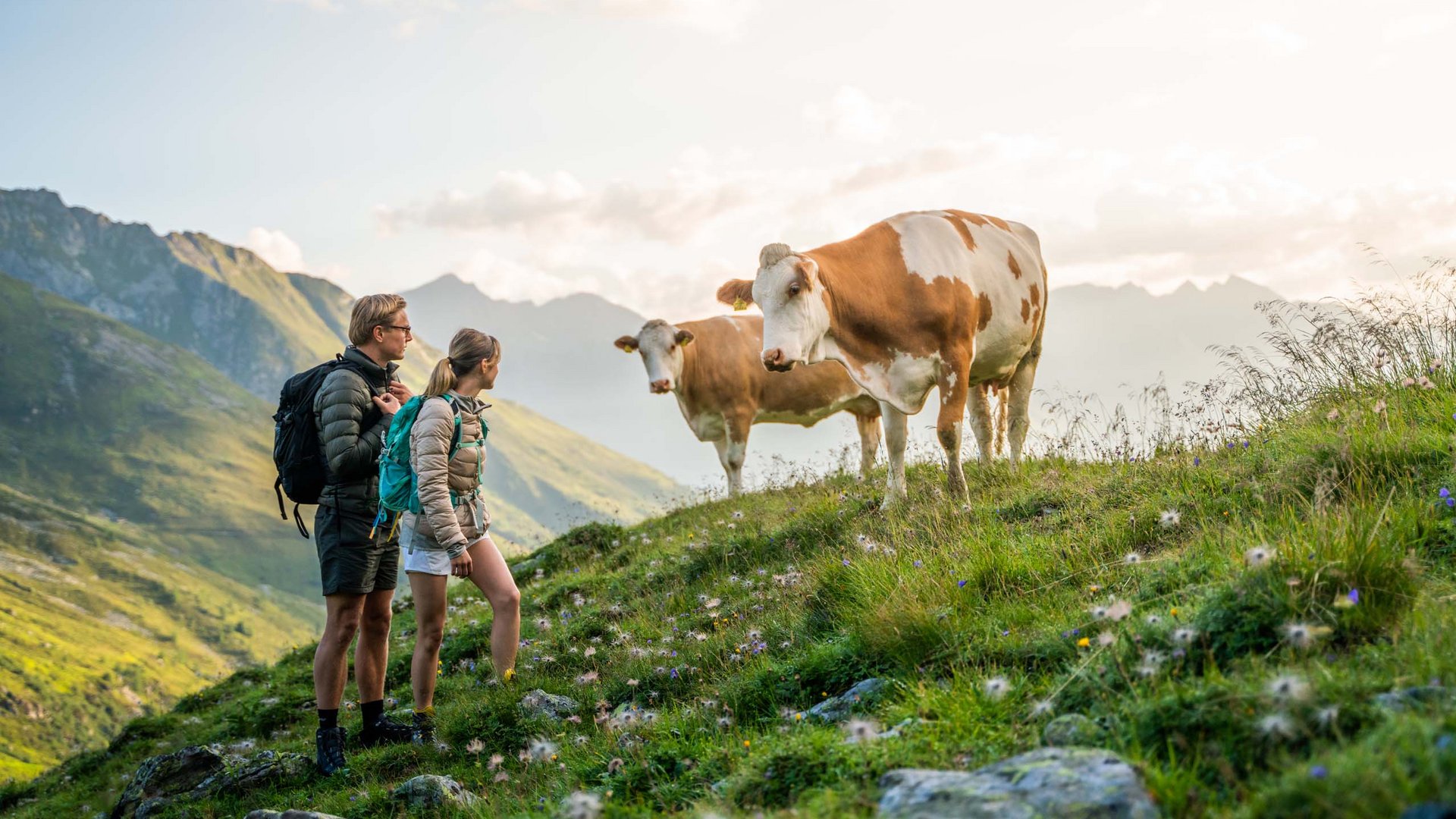 Wanderhotels Kärnten: Aktivzeit im Wanderniki Wanderhotels Kärnten: Aktivzeit im Wanderniki